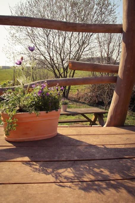 Tinyhouse Zirkuswagen- Kotten Kunterbunt Nottuln Buitenkant foto
