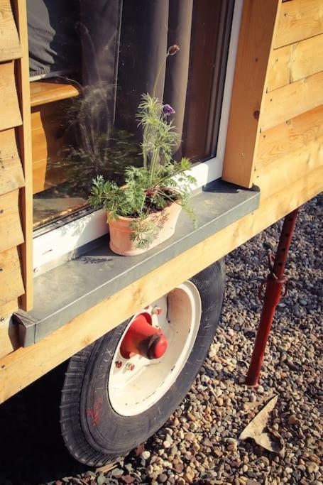Tinyhouse Zirkuswagen- Kotten Kunterbunt Nottuln Buitenkant foto