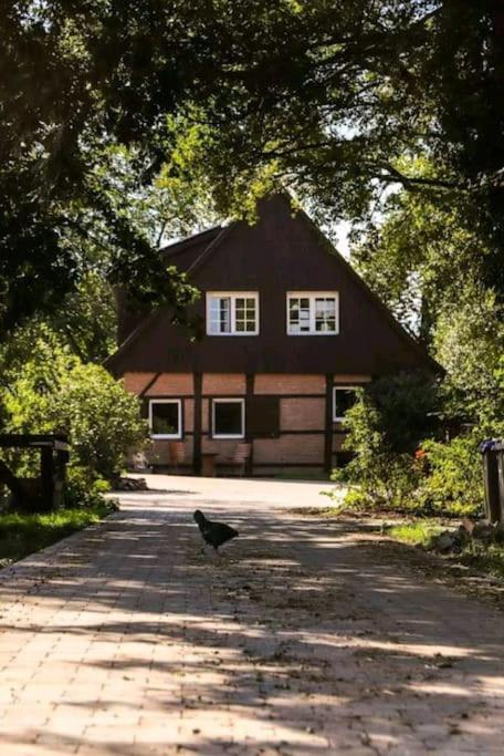 Tinyhouse Zirkuswagen- Kotten Kunterbunt Nottuln Buitenkant foto