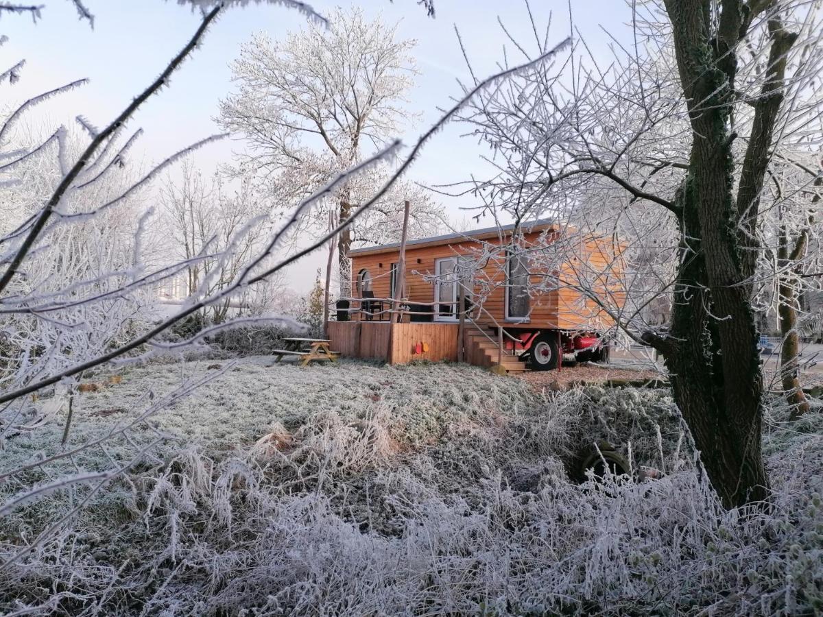 Tinyhouse Zirkuswagen- Kotten Kunterbunt Nottuln Buitenkant foto